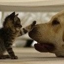 청학2동-4 이미지