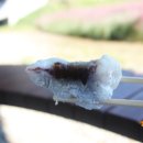 진미당 제과 이미지