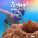 [태국•파타야] &#39;니모섬&#39; 스노클링 패키지 大만족 후기 (마이리얼트립)