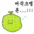 이쁜댕 | 15 : diary 20240315
