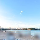 씽크폴리건협동조합