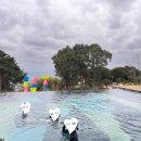 제주메이리조트 이미지