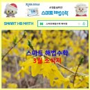 스마트해법수학 네이버블로그