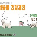 사과나무 동물병원 이미지