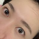 [선릉] 선릉속눈썹펌 선정릉속눈썹펌 후기 : 네일바드리
