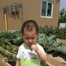 예린농장 이미지