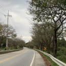 상백1리 마을회관 이미지