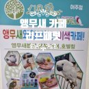 여주-0452 이미지