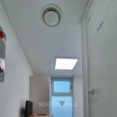 비디테일 이미지