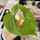 서해수산활어직판장치평점 | [광주][맛집추천][내돈내산] 광주 상무지구 대방어 맛집 '서해수산활어직판장 치평점'