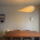 스테이그라피 이미지