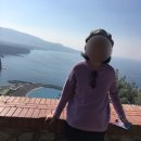 링크 늘푸른 애묘호텔 | 이탈리아 로마 남부투어 비교 추천 로마에서 포지타노 폼페이 아말피 당일치기 여행 코스