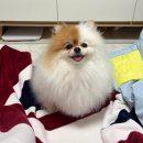 서초대로22길 42-6 | 십일월 (十一月), 열한 번째 달