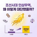 현대인삼 | 조선 시대 인삼 무역과 경제적 영향