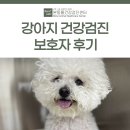 FM동물영상의학센터 | 강아지 건강검진 보호자 후기 [대구동물건강검진센터/본동물건강검진영상센터]