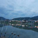 단양고등학교 이미지