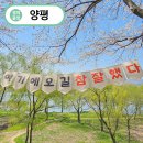 양평체육공원길 | 양평 뚜벅이 여행 갈산공원 벚꽃놀이 산책코스 포토존