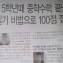 계통광고
