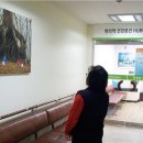 강서구보건소