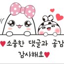 퓨어래빗 이미지