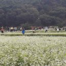 780198 네이버블로그
