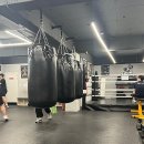 하이복싱체육관 이미지