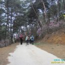 산지골민박 이미지