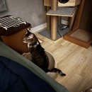 디지클럽 미용실 | 가스비가 준 걸 보니 봄이 오려나 보오