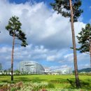 금강보행교 8 이미지