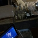 토담민박 이미지