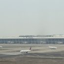 동방치과 - 진주시 진주대로 1049 | 상해 푸동공항 입국심사 1터미널 김해까지 중국동방항공 기내식 이용후기