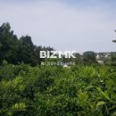 제주대지공인중개사사무소 이미지