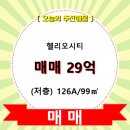 시티99 이미지