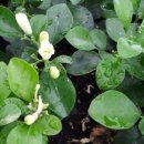 학이농장 이미지