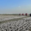 호골농장 이미지