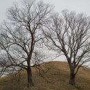 봉황대고분 이미지