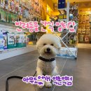 아무도없개역촌역점 | [후기] 무인 24시 반려동물 간식샵 아무도없개 역촌역점 다녀왔어요!