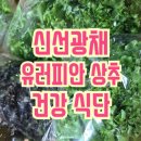 광채농장 | 신선광채_유럽상추 바타비아, 유러피안샐러드로 건강한 식단관리