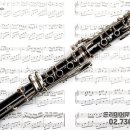 클라리넷 집중레슨 이미지