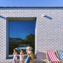 김녕돌담 이미지