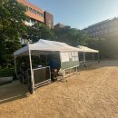 양천고등학교