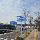 미도락 | 한강 피크닉 도시락 추천｜참치삼각김밥 + 초간단 바질파스타