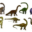 공룡화석지 이미지