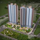 금성백조 예미지 이미지