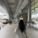 연명로 | [제주 태교여행] 4박 5일 일정 요약 총정리 후기 및 여행팁