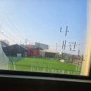 개판 | 평택애견동반 평택캠핑장 개판에 다녀온 내돈내산 후기예요