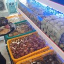 오산조개구이무한리필 이미지