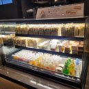 pet07누5492 | [구리 카페] 스타벅스 구리갈매DT 국내 첫 애견동반 매장 주차, 펫존 오픈런 후기