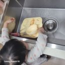 국승