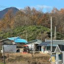 복덩이부동산중개사무소 이미지